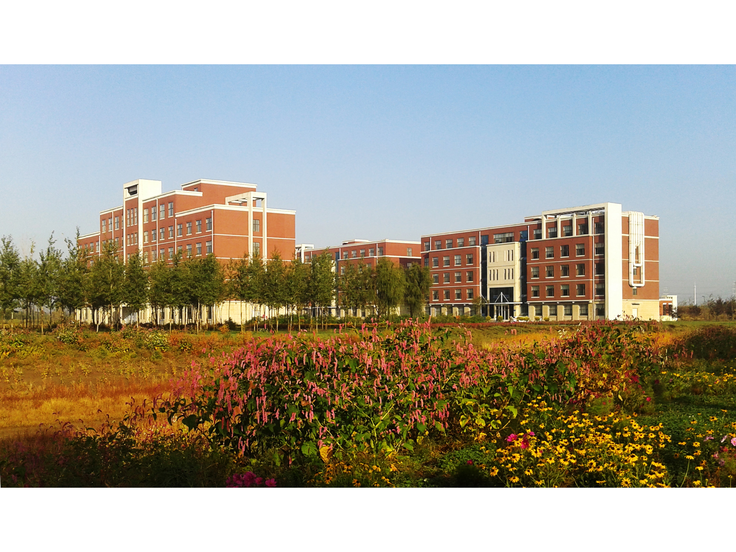 秋景（地理綜合樓、環境實驗樓、濕地實驗樓）